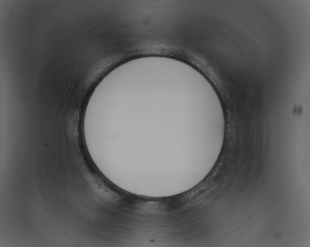 X0000089390058200707131728
