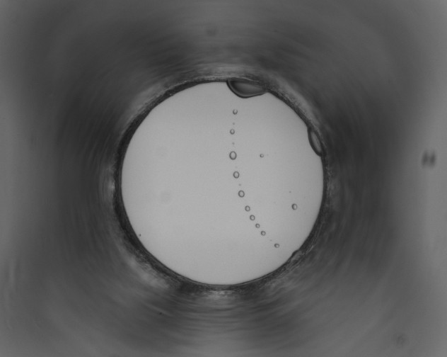 X0000089390059200707131728