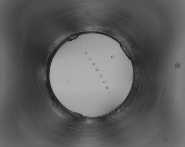 X0000089390060200707131728