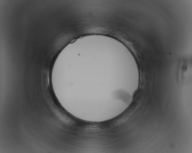 X0000089390061200707131728