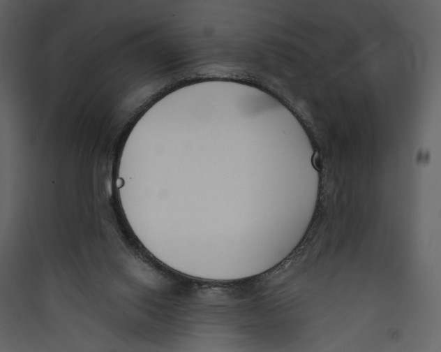 X0000089390062200707131728