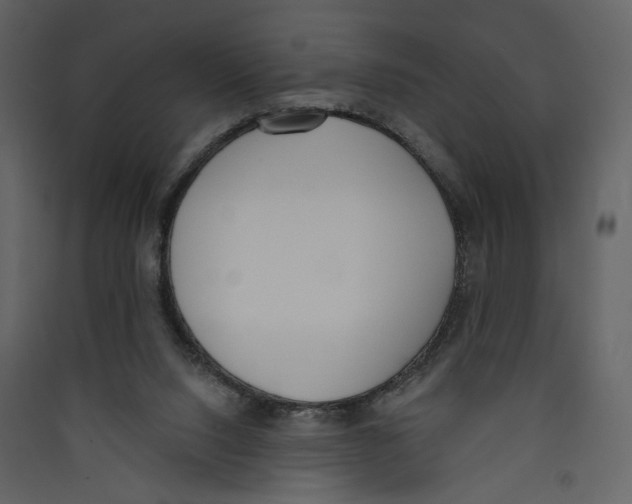 X0000089390064200707131728