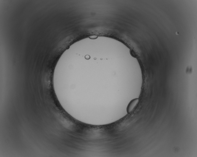 X0000089390065200707131728