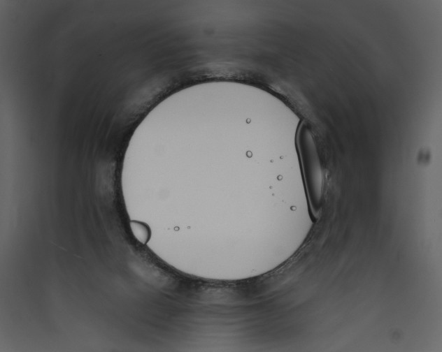 X0000089390066200707131728