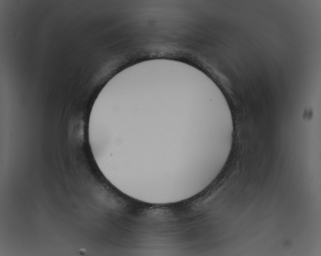 X0000089390067200707131728