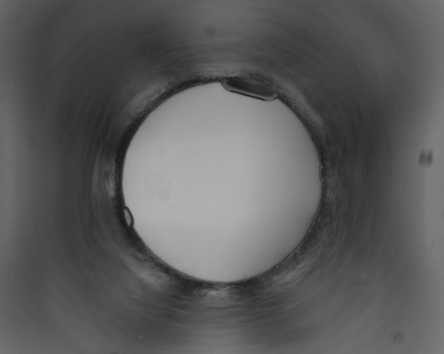 X0000089390068200707131728