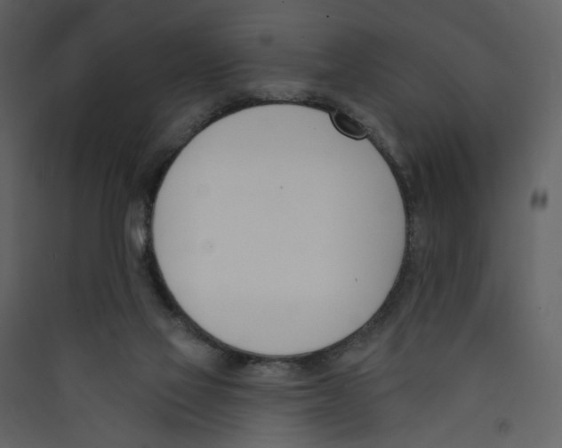 X0000089390069200707131728
