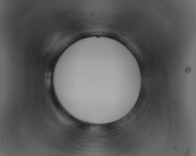 X0000089390070200707131728