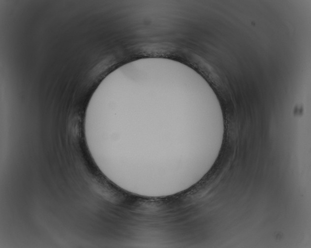 X0000089390071200707131728