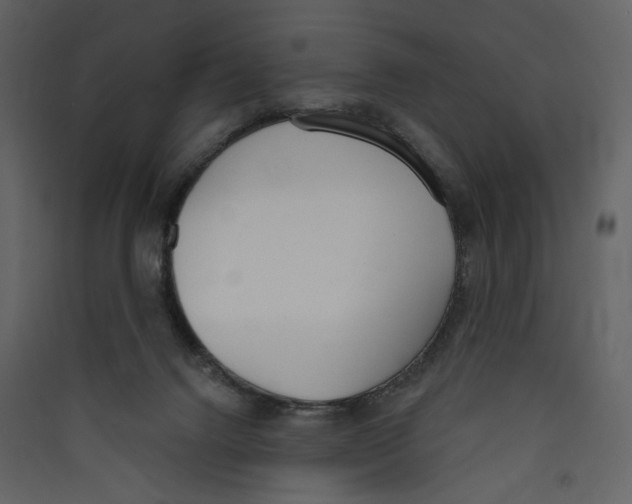 X0000089390072200707131728