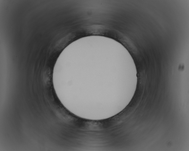 X0000089390073200707131728