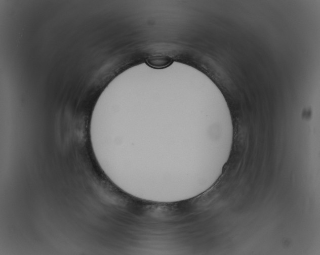 X0000089390074200707131728