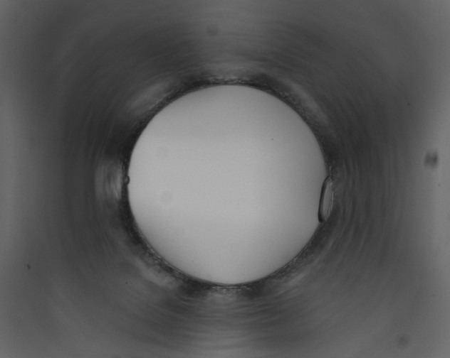 X0000089390076200707131728