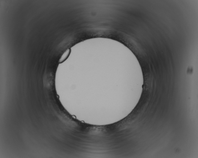 X0000089390077200707131728