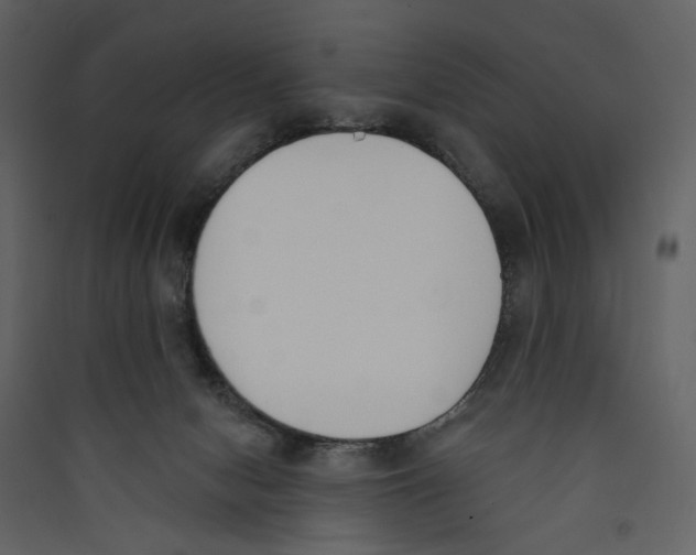 X0000089390078200707131728