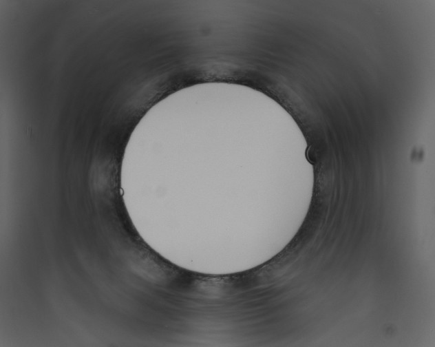 X0000089390079200707131728