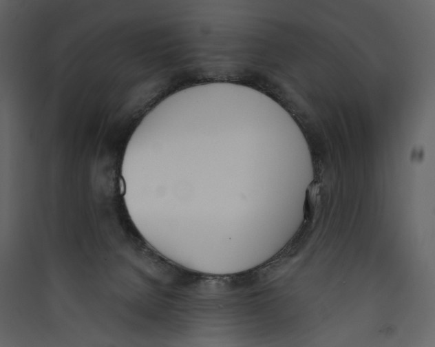 X0000089390080200707131728