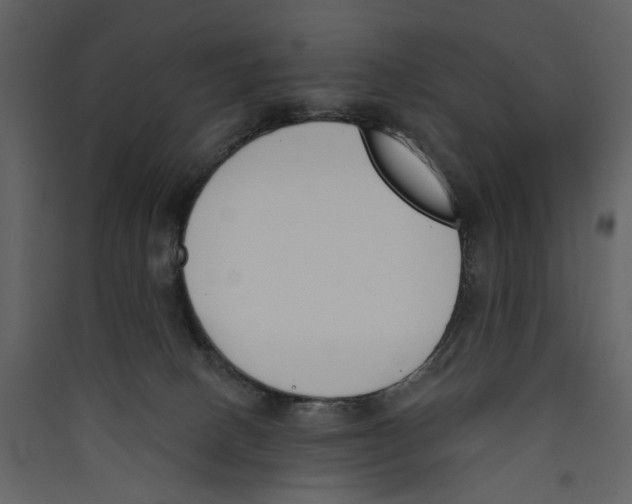 X0000089390082200707131728