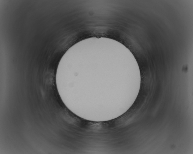 X0000089390083200707131728