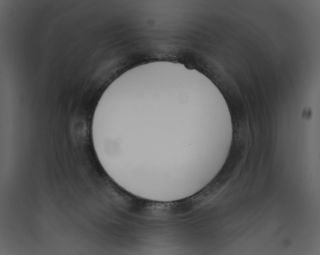 X0000089390084200707131728