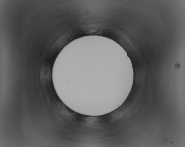 X0000089390085200707131728