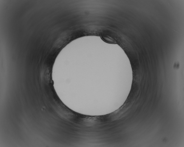 X0000089390086200707131728