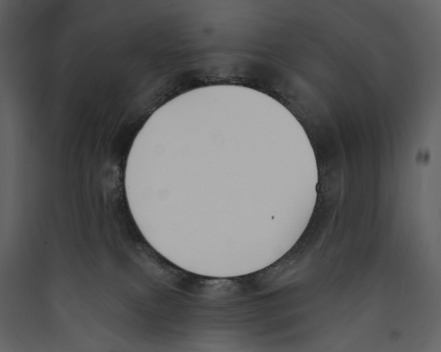 X0000089390087200707131728