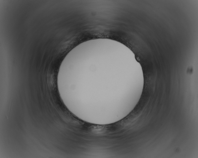 X0000089390088200707131728