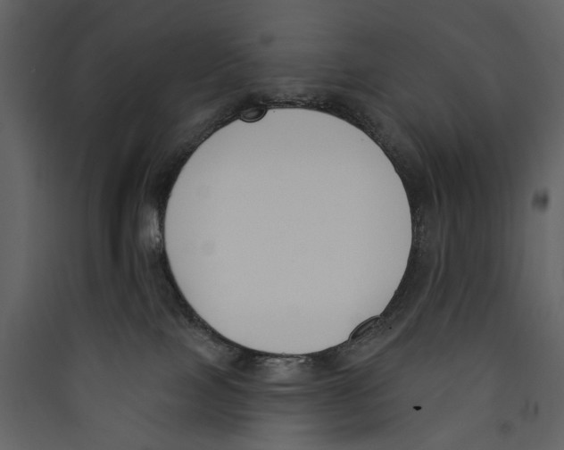 X0000089390089200707131728