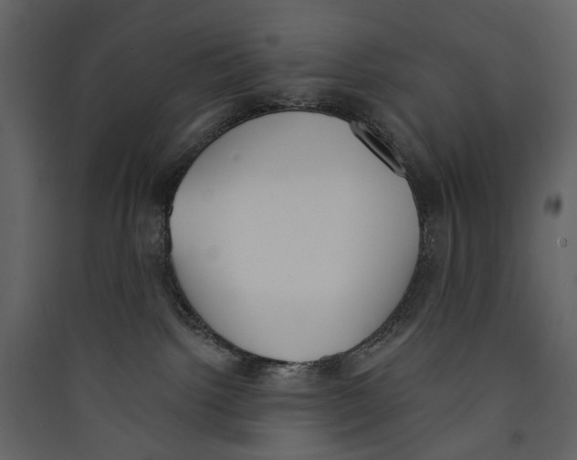 X0000089390092200707131728