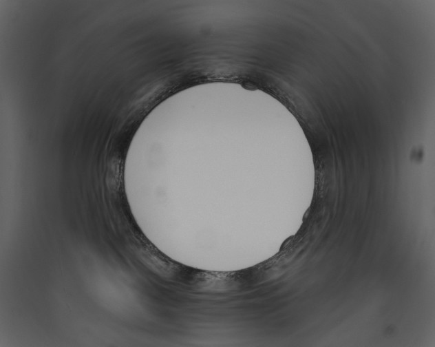 X0000089390093200707131728