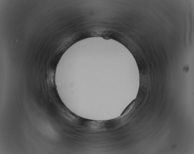 X0000089390094200707131728
