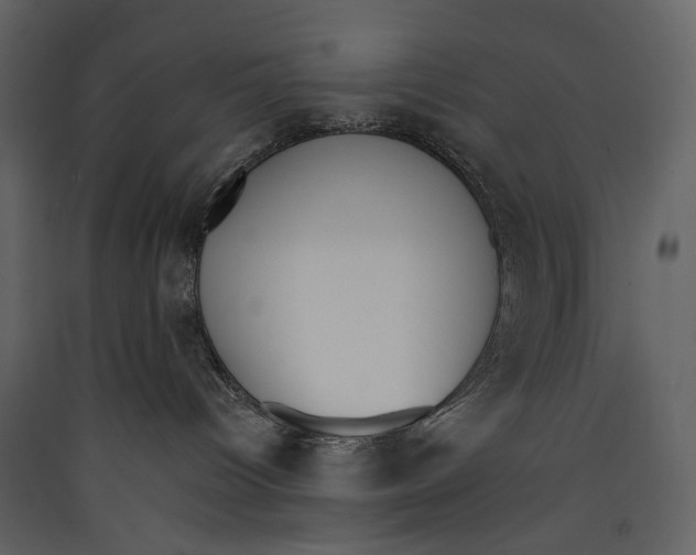 X0000089390096200707131728
