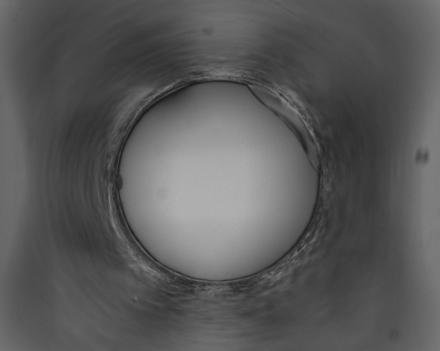 X0000089390097200707131727