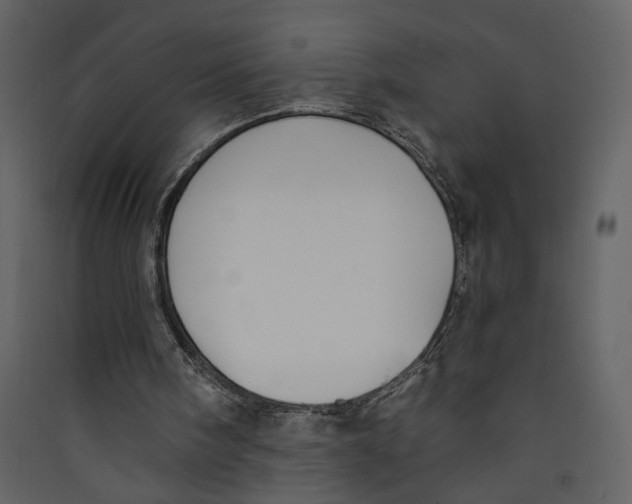 X0000089390098200707131727