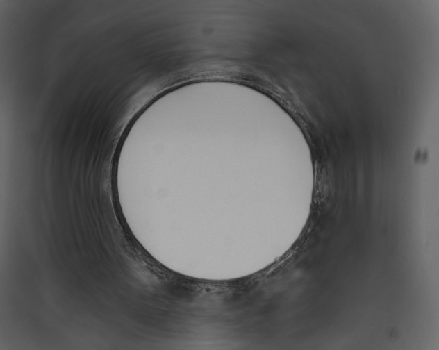 X0000089390099200707131727