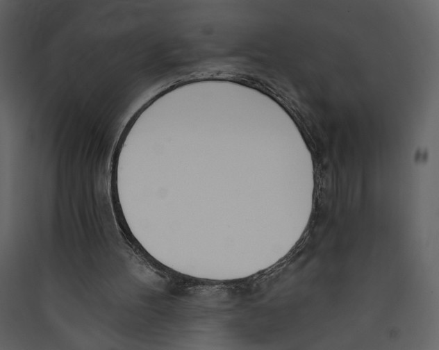 X0000089390100200707131727