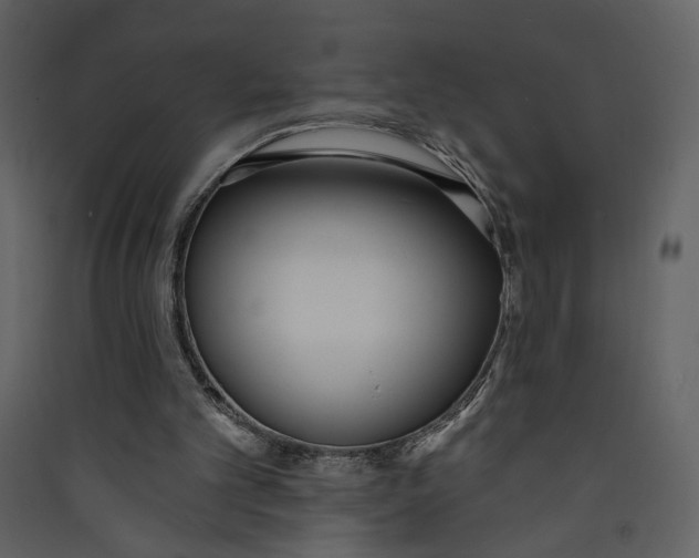 X0000089390101200707131727