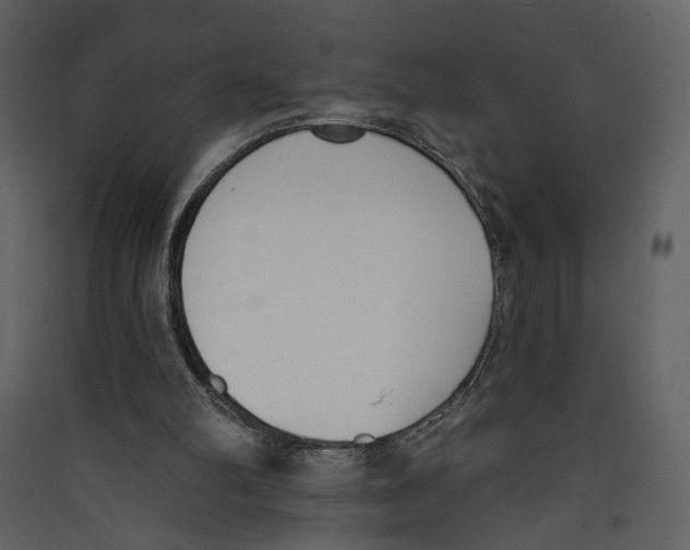 X0000089390102200707131727