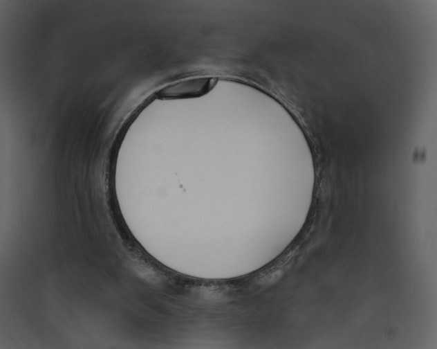X0000089390103200707131727