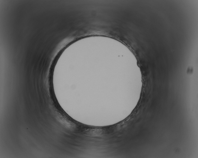 X0000089390104200707131727