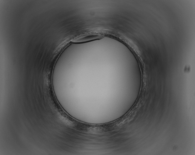X0000089390105200707131727
