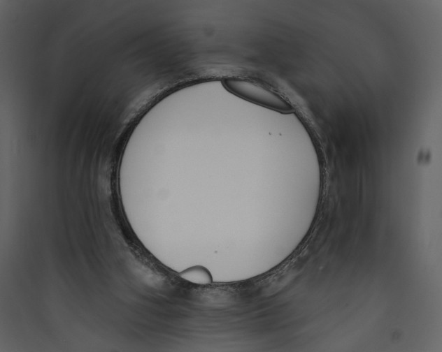 X0000089390106200707131727