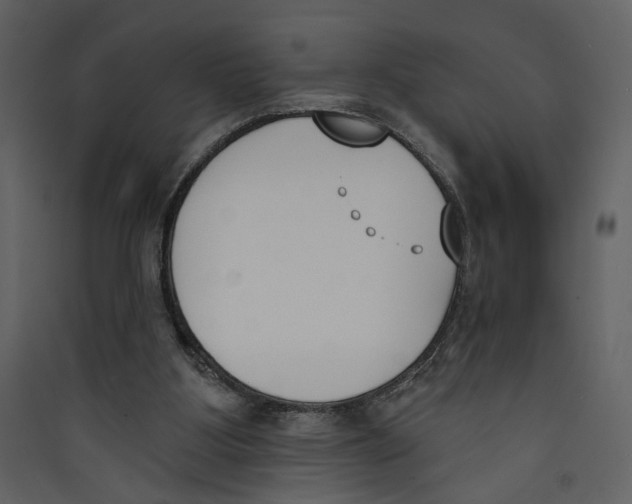 X0000089390107200707131727