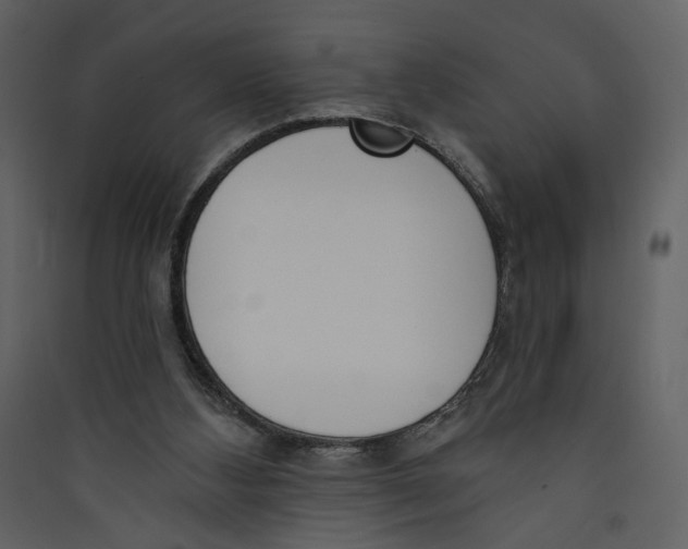 X0000089390108200707131727
