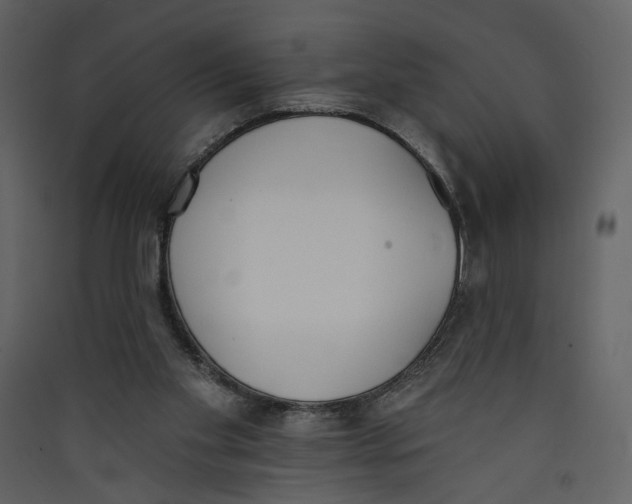 X0000089390109200707131727