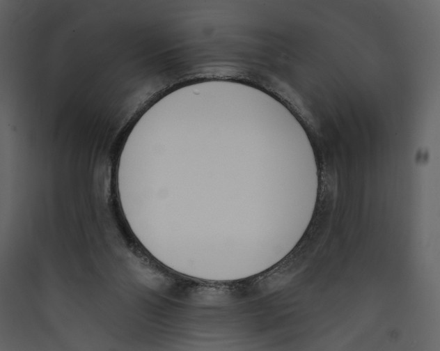 X0000089390110200707131727
