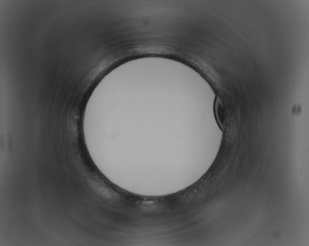 X0000089390111200707131727