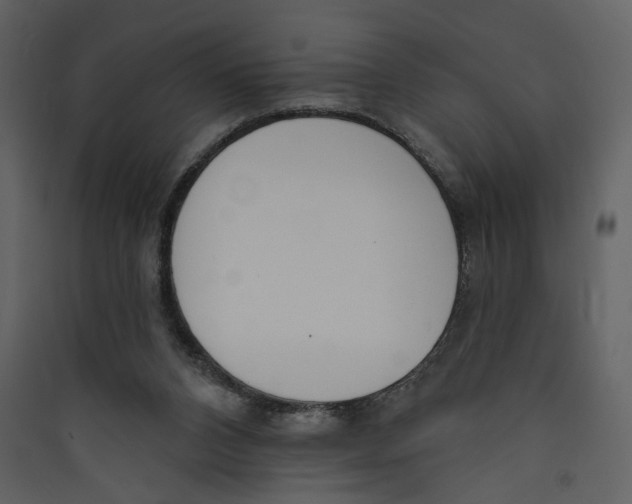 X0000089390112200707131727