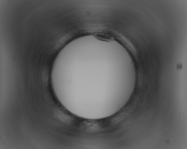 X0000089390113200707131727